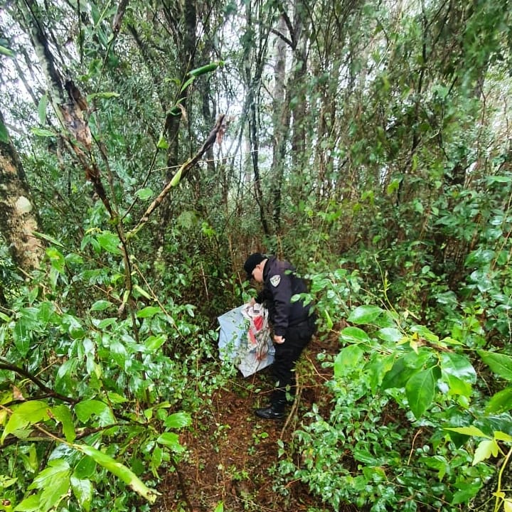 WhatsApp Image 2024 07 14 at 19.02.53