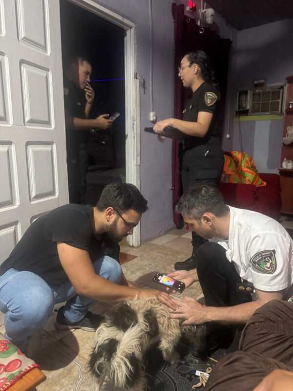 Maltrato animal: detuvieron al hombre que fue captado por las cámaras cuando golpeaba a su perro 2 WhatsApp Image 2025 01 11 at 08.24.00
