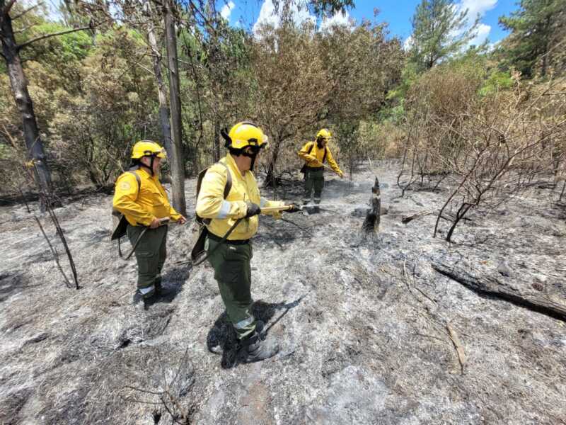 Tras casi 24 horas de labor, lograron controlar un incendio cerca del Parque Provincial de la Sierra 3 WhatsApp Image 2025 01 11 at 09.07.51