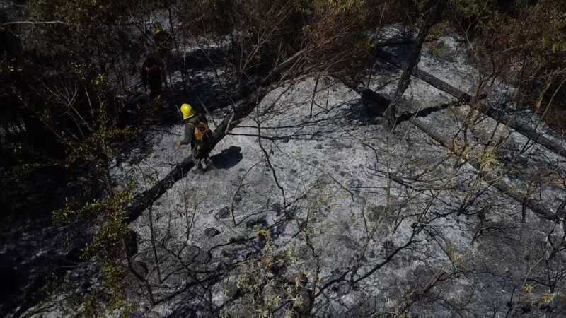 Tras casi 24 horas de labor, lograron controlar un incendio cerca del Parque Provincial de la Sierra 4 WhatsApp Image 2025 01 11 at 09.07.52