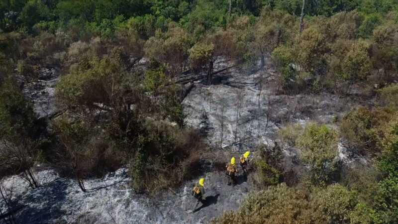 Tras casi 24 horas de labor, lograron controlar un incendio cerca del Parque Provincial de la Sierra 5 WhatsApp Image 2025 01 11 at 09.07.53
