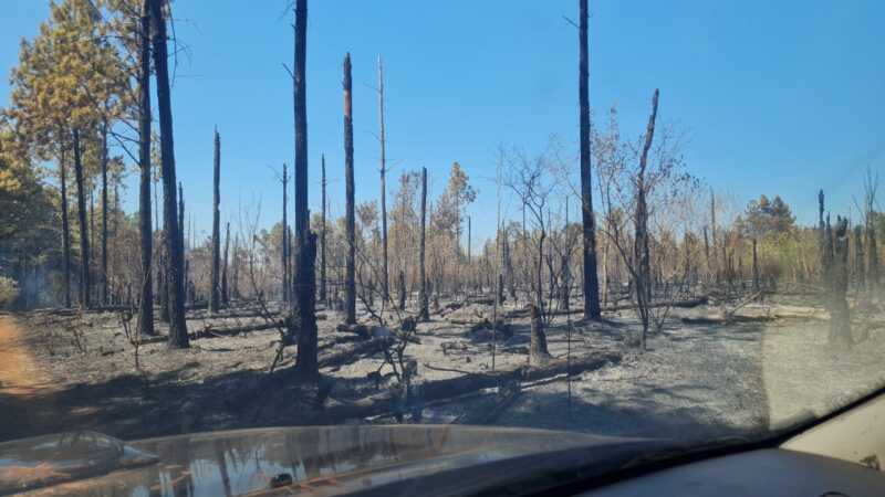 Tras casi 24 horas de labor, lograron controlar un incendio cerca del Parque Provincial de la Sierra 1 WhatsApp Image 2025 01 11 at 09.08.15