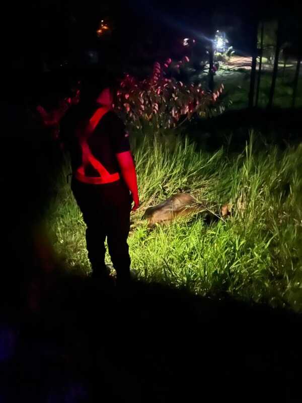 Un muerto y dos heridos en un doble siniestro vial en San Vicente 1 WhatsApp Image 2025 03 24 at 21.53.58