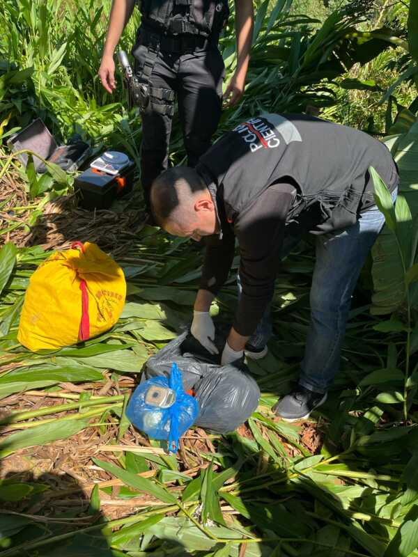 Operación "Malezas": dron detectó marihuana en una zona rural de Campo Grande 1 WhatsApp Image 2025 04 05 at 19.39.01