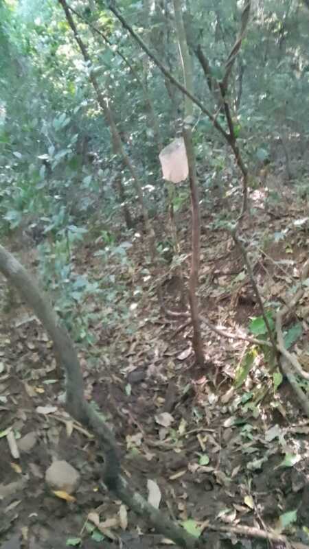 Detectan trampas y senderos abiertos por cazadores en el Parque Salto Encantado 1 WhatsApp Image 2025 04 12 at 11.01.59