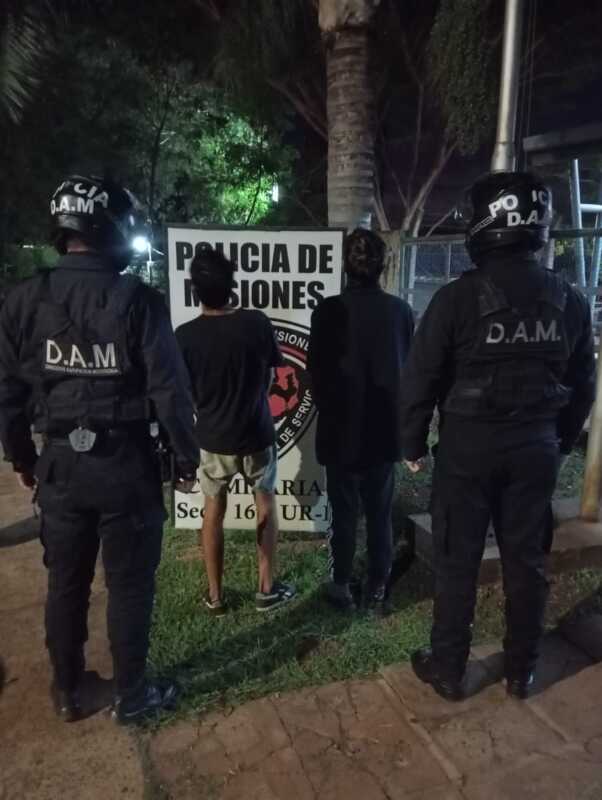 Insólito: detuvieron a dos hombres por robar flores de una plazoleta en Posadas 1 WhatsApp Image 2025 04 22 at 11.38.22 1