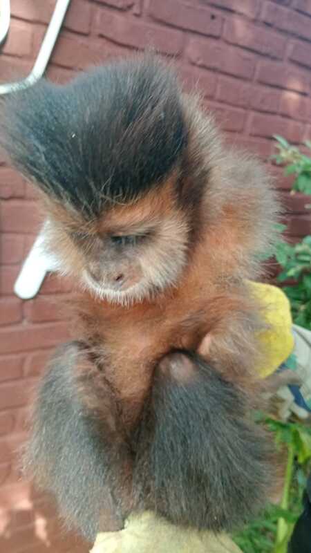 WhatsApp Image 2025 04 24 at 08.59.05