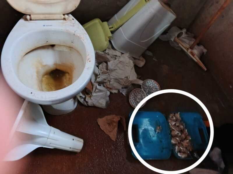 WhatsApp Image 2025 04 25 at 12.32.14