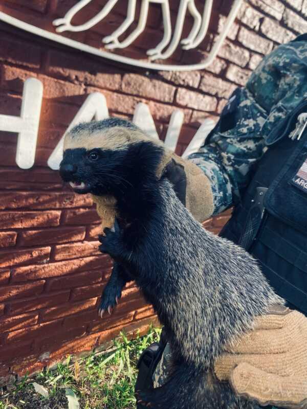 WhatsApp Image 2025 04 29 at 11.43.21