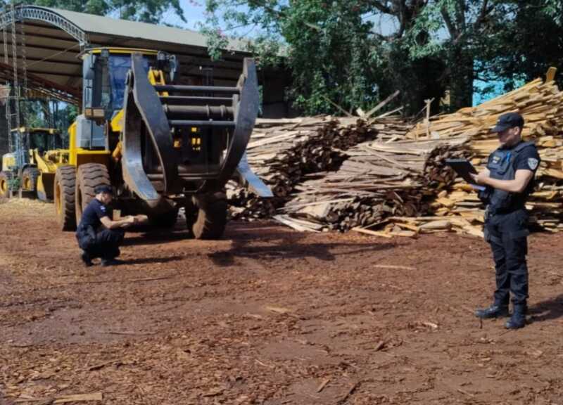Tragedia en Guaraní: un trabajador murió tras un accidente en una maderera 1 accidente maderera