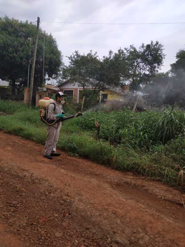 Continúan los trabajos en la provincia con la finalidad de controlar y eliminar el Aedes aegypti 1 aedes3