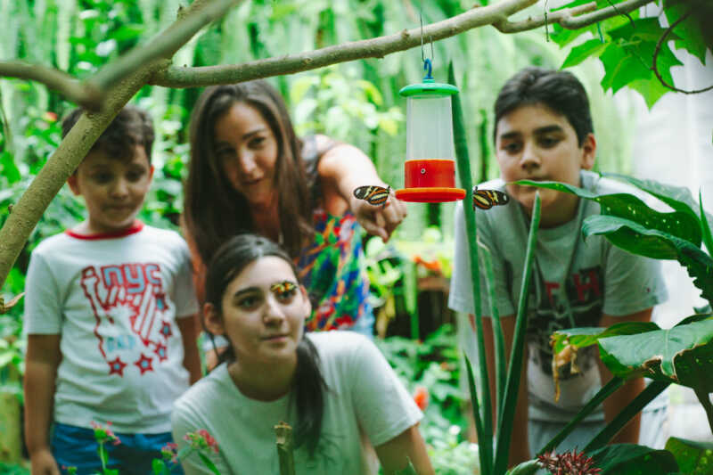 Variedad de actividades en Misiones para el fin de semana XL 1 archivoTurismo 1