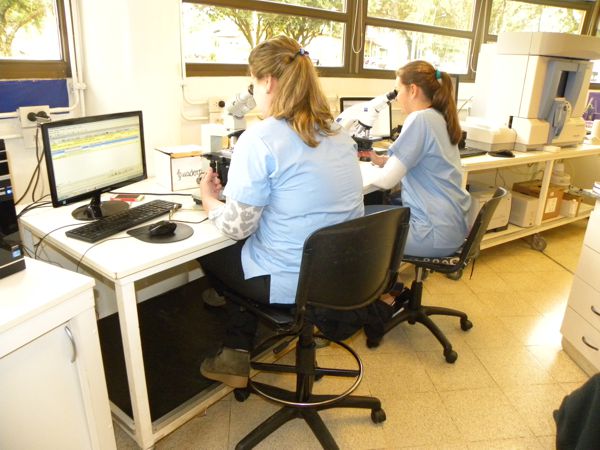 Día del Bioquímico: personal fundamental para el diagnóstico y seguimiento de las enfermedades 2 bioquimicos1