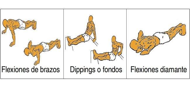 brazos