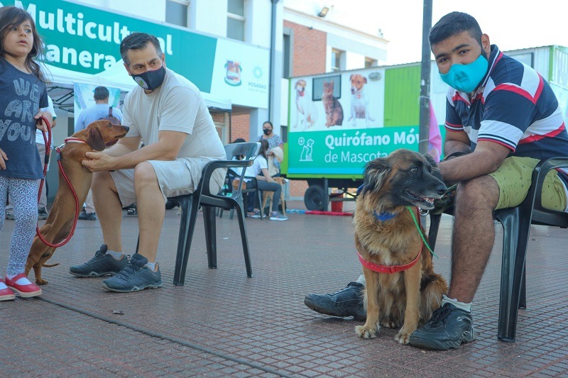 c69d11e7 bccb 46f9 bf3c 6758174658af