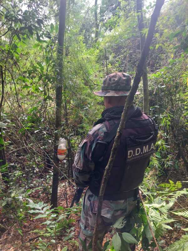 Policías ambientales desarmaron campamentos ilegales de caza 2 campamento ilegal 1