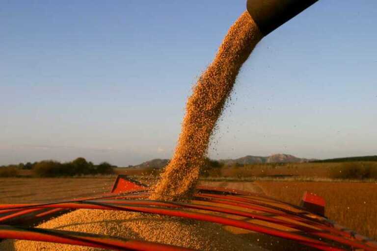 El campo advirtió por la suba de las retenciones: «Se van a quedar secos hasta noviembre»