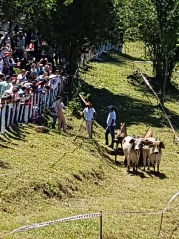 Concurrida participación en la Fiesta Provincial del Carro 1 carro6