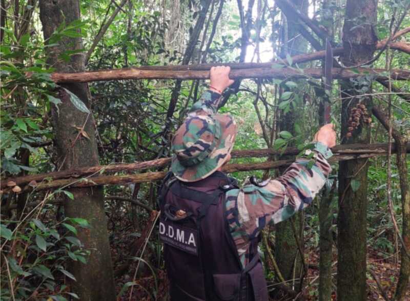 Policías ambientales desarmaron campamentos ilegales de caza 1 casa ilegal