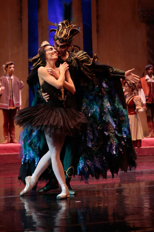 cisne negro 1