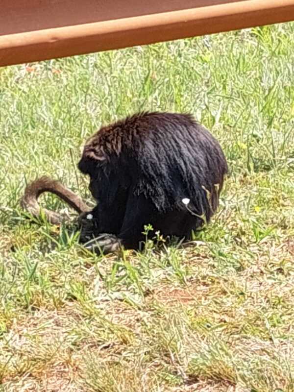 d1d07194 6290 4866 87c1 2e3727ef56df