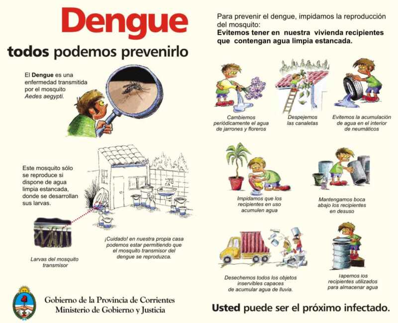 Dengue: según Salud Pública hay 289 casos probables 2 dengue 04 20 03 2007