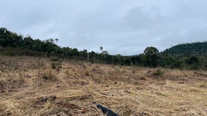 Tras una denuncia por desmonte, Ecología inspeccionó área indígena en Caraguatay 2 ecologia 2