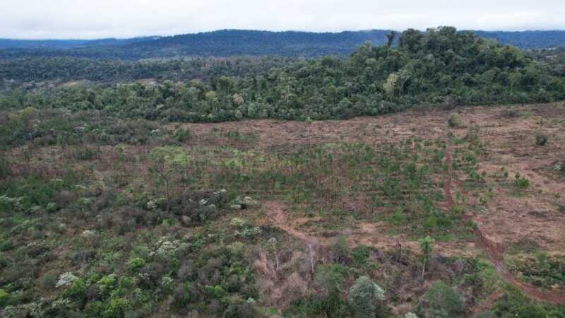 ecología (3)