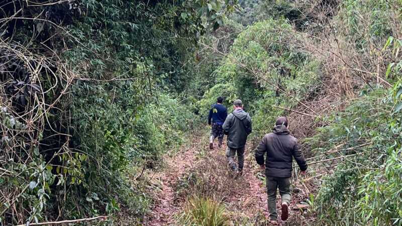 Tras una denuncia por desmonte, Ecología inspeccionó área indígena en Caraguatay 3 ecologia 4