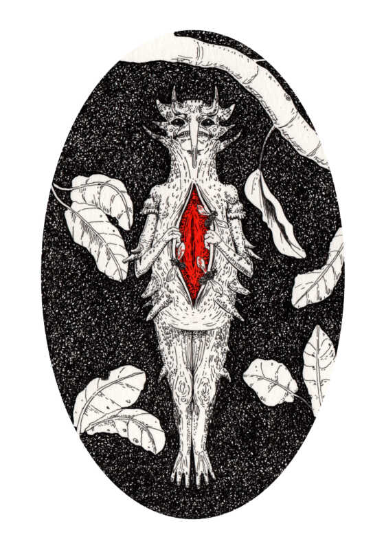 efimero 1