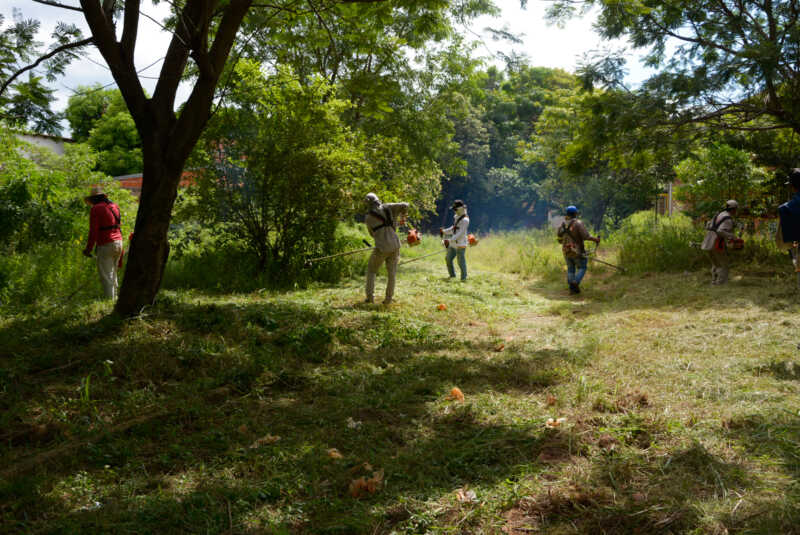 escuela comercio 18 rademacher y espora 11