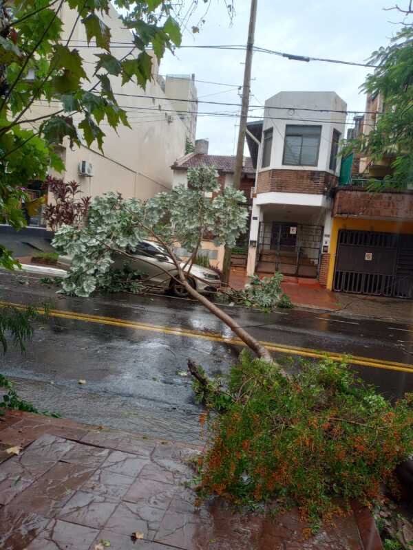 Amplio despliegue policial por daños ocasionados por el temporal en Misiones 1 f8ac099f ba90 4547 a68f 652315892b69