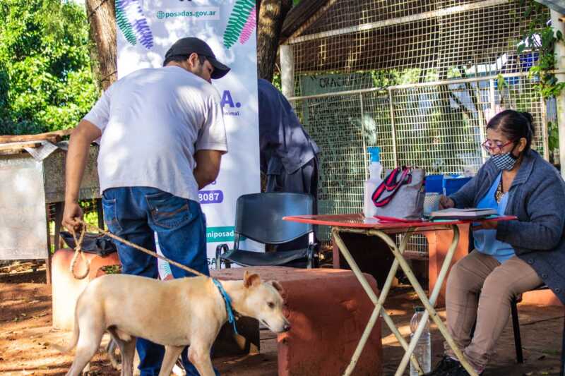 fcd1bdba 5602 45e0 bb8f 43ab93a47570