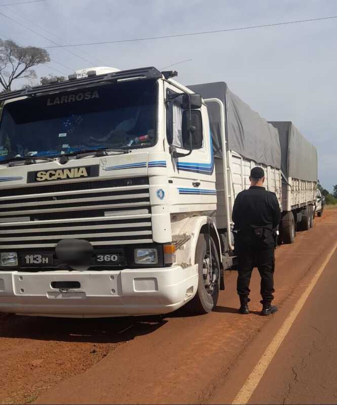 granos en la provincia 1