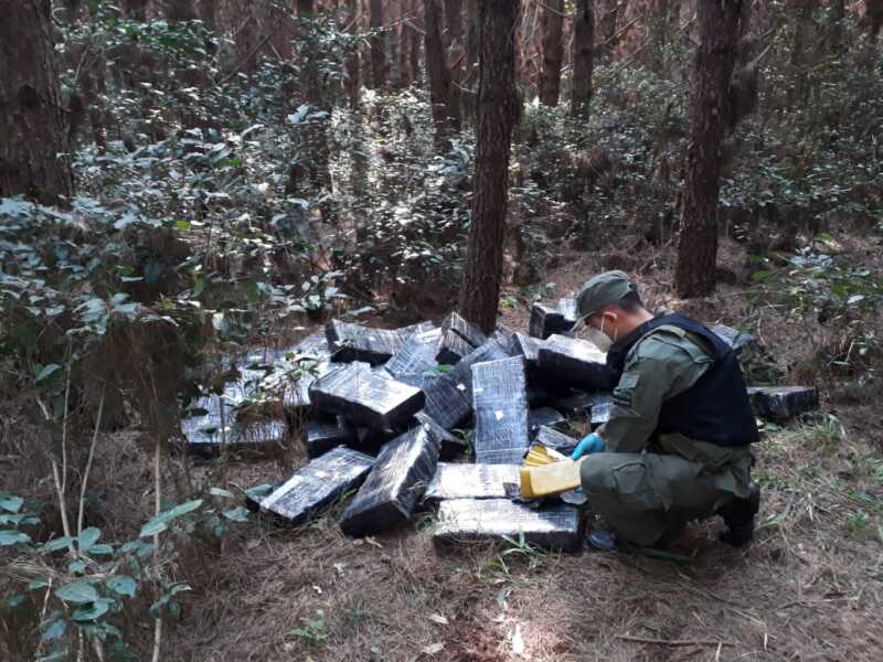Hallan más de 720 kilos de marihuana ocultos entre la vegetación en Jardín América 2 hallan mas de 720 kilos de marihuana ocultos entre la vegetacion 1