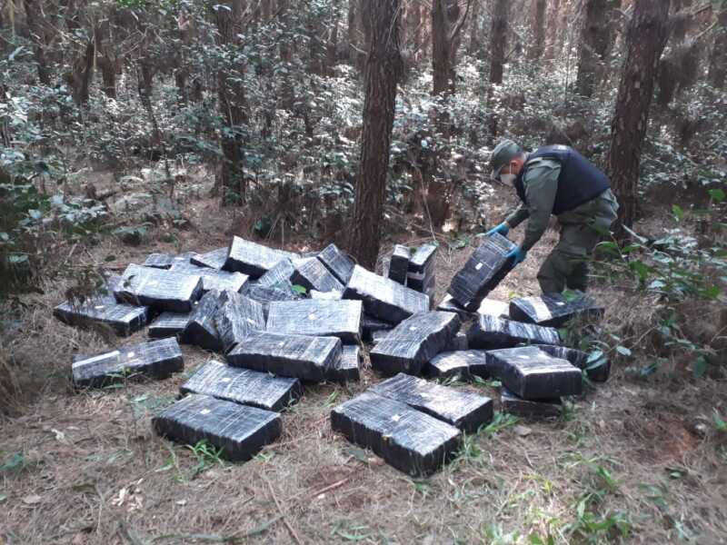 Hallan más de 720 kilos de marihuana ocultos entre la vegetación en Jardín América 1 hallan mas de 720 kilos de marihuana ocultos entre la vegetacion 3