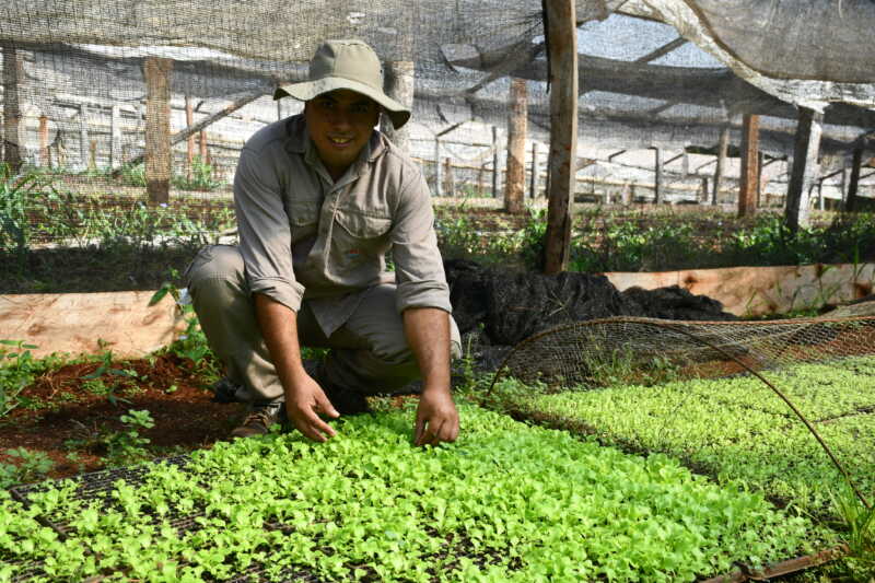 Cambio Rural, una herramienta que fortalece la producción hortícola misionera 2 horticola 07