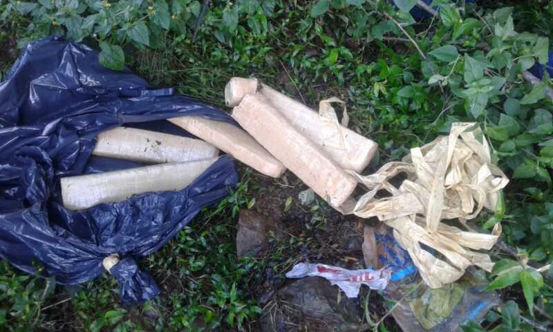 Jardín América: incautaron cerca de 250 kilogramos de marihuana dentro de un auto abandonado 1 marihuana 1 2