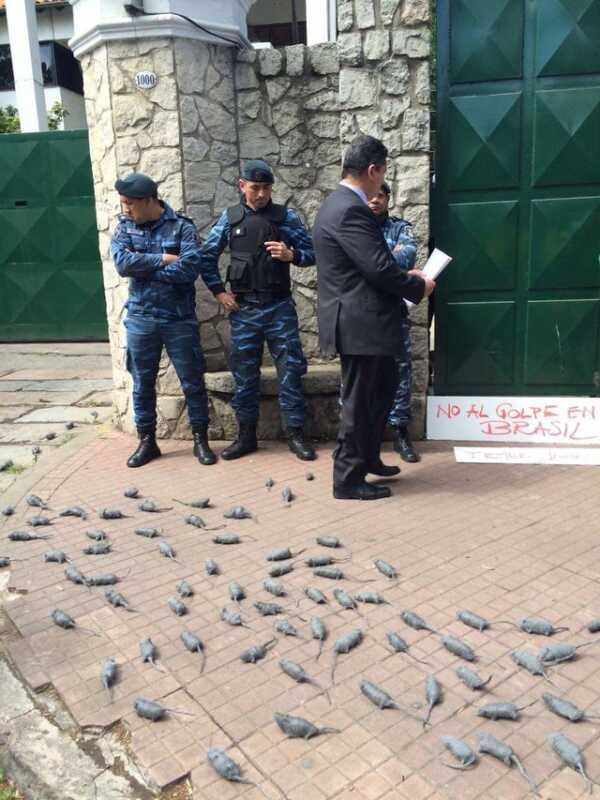 media photo 57f2935ad17589f27a542134 640w