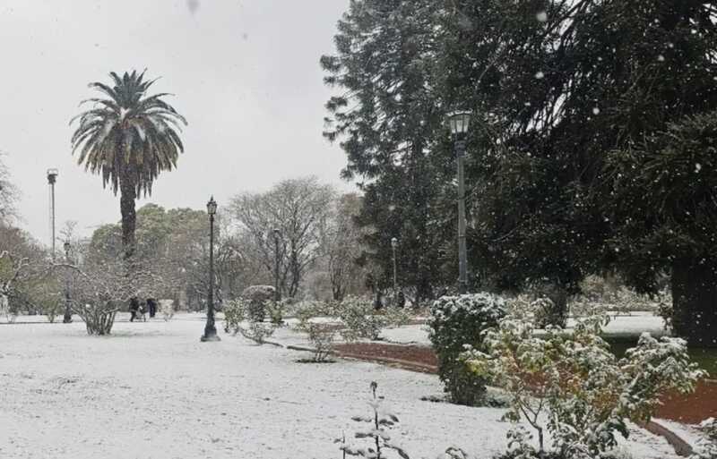 nieve