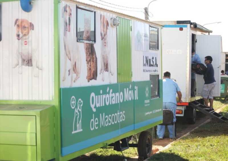 operativo 6