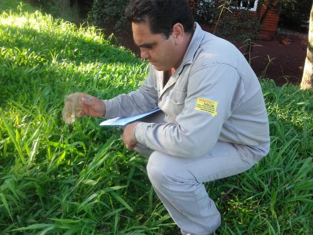 prevencion concientizacion fumigacion Dengue 15