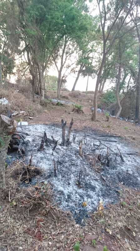Denuncian crimen ambiental en la costa de Villa Cabello 2 quemas13