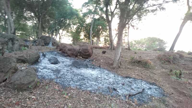Denuncian crimen ambiental en la costa de Villa Cabello 1 quemas14