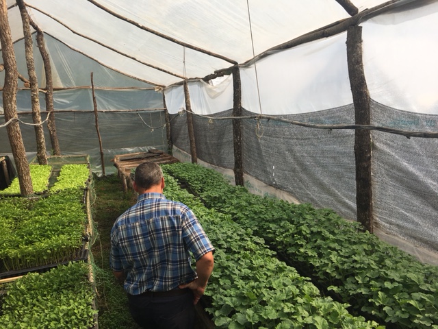 recorren produccion horticolas