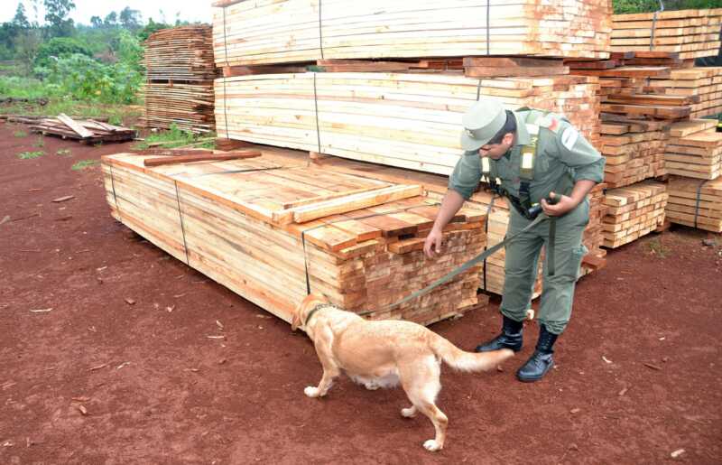 seccion san vicente 2