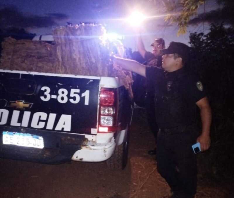 tabaco 15