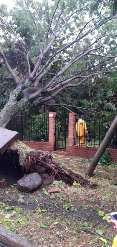 Unas 10 familias fueron asistidas luego del temporal en Posadas 2 tormenta7