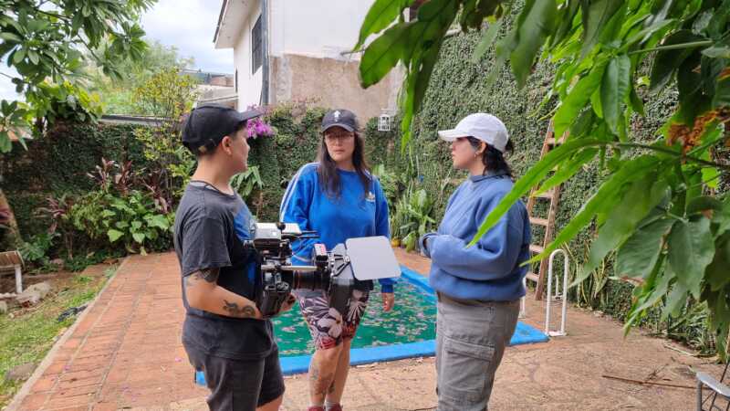 Director y DF