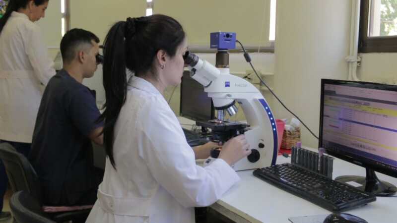 Innovación en el Madariaga: primeros trasplantes con células del propio paciente 2 MVI 0750 frame at 0m2s